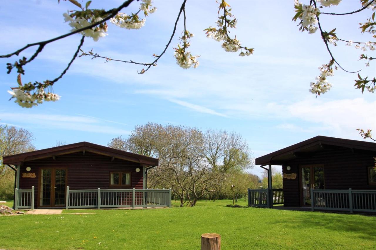 Wall Eden Farm - Luxury Log Cabins And Glamping ハイブリッジ エクステリア 写真