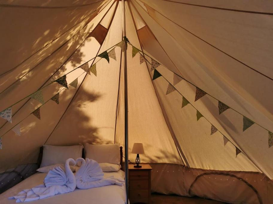 Wall Eden Farm - Luxury Log Cabins And Glamping ハイブリッジ エクステリア 写真