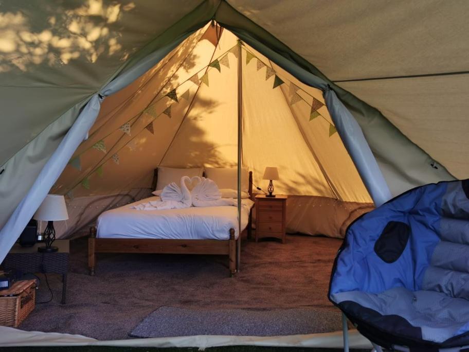 Wall Eden Farm - Luxury Log Cabins And Glamping ハイブリッジ エクステリア 写真