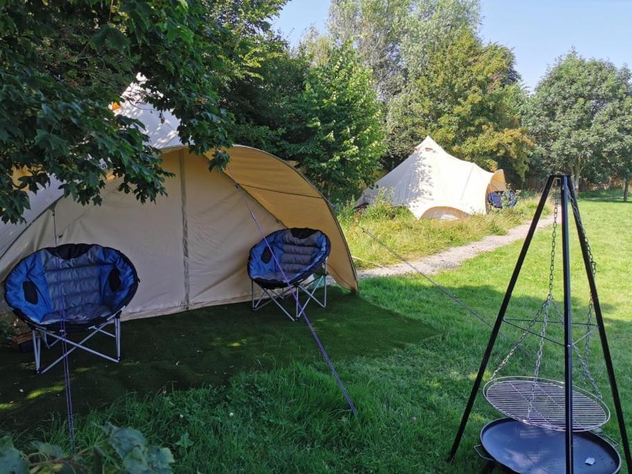 Wall Eden Farm - Luxury Log Cabins And Glamping ハイブリッジ エクステリア 写真