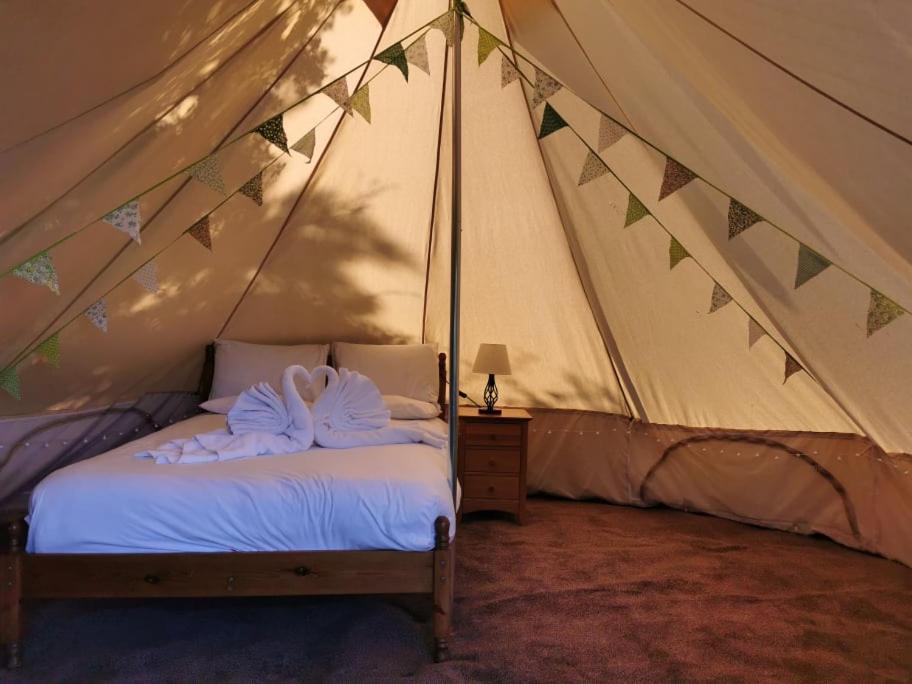 Wall Eden Farm - Luxury Log Cabins And Glamping ハイブリッジ エクステリア 写真