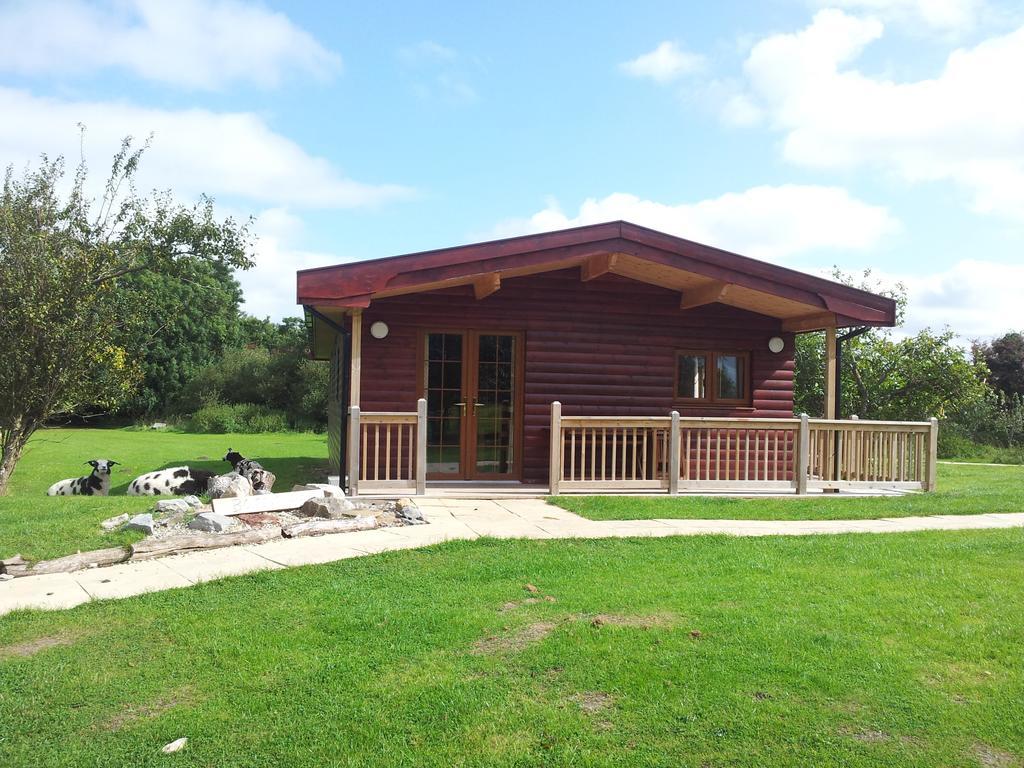 Wall Eden Farm - Luxury Log Cabins And Glamping ハイブリッジ 部屋 写真