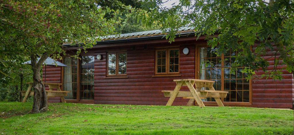 Wall Eden Farm - Luxury Log Cabins And Glamping ハイブリッジ エクステリア 写真